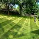 Sunny garden with green lawn and stone wall.